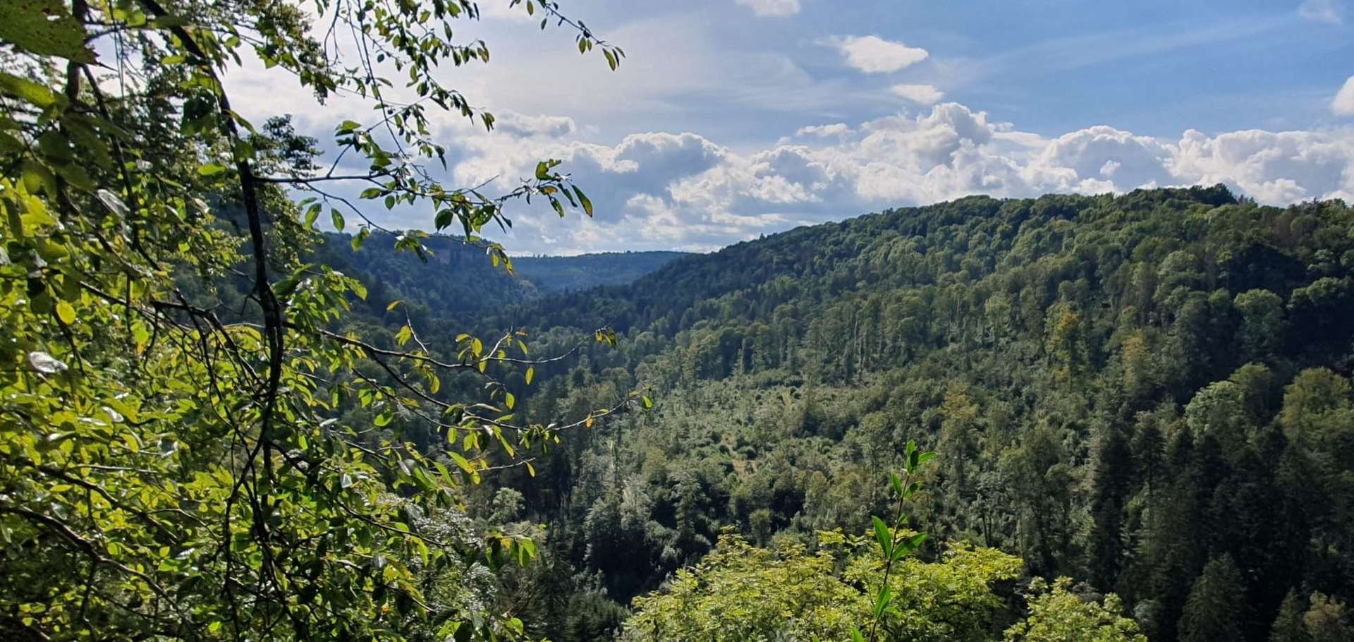 	14 3 Tage auf dem Schluchtensteig im Südschwarzwald